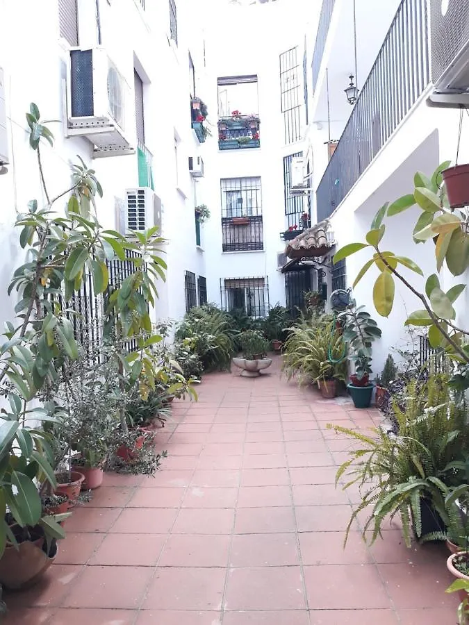 Apartamento Centro Juderia Cordoba 아파트 0*,  스페인